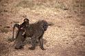 WT 1400 194-26 Kenya